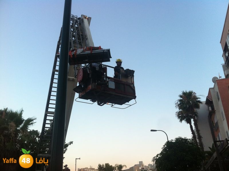 heart attack 623 (3).jpg